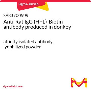 Anti-Rat IgG (H+L)-Biotin antibody produced