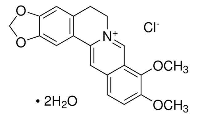 BERBERINE CHLORIDE, UNITED STATES PHARMA