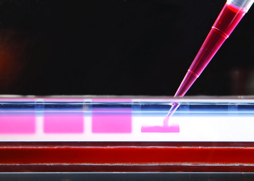 REDTaq® DNA Polymerase
