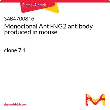 Monoclonal Anti-NG2 antibody produced in