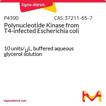 Polynucleotide Kinase from T4-infected Escherichia