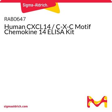Human CXCL14 / C-X-C Motif