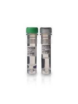 Exonuclease I, 10 U/?L