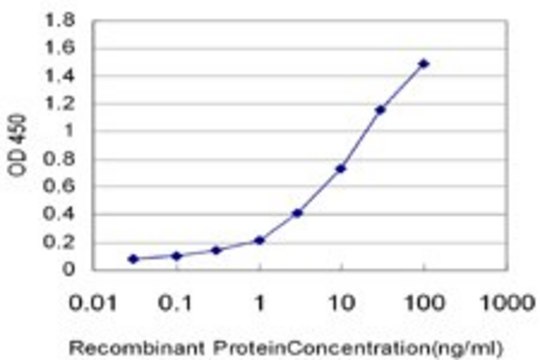 Monoclonal Anti-KITLG antibody produced in