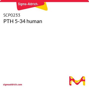 PTH 5-34 human