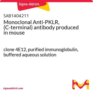 Monoclonal Anti-PKLR, (C-terminal) antibody produced