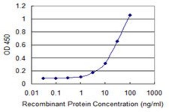 Monoclonal Anti-SIRT6 antibody produced in