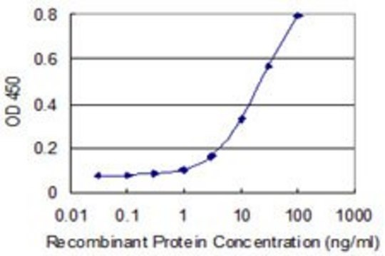 Monoclonal Anti-SPOCK3 antibody produced in