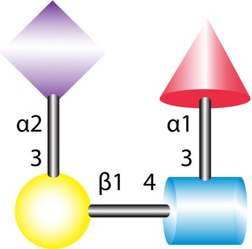 3?-Sialyl-Lewis-X tetrasaccharide