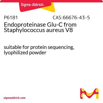 Endoproteinase Glu-C from Staphylococcus aureus