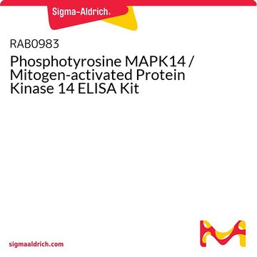 Phosphotyrosine MAPK14 / Mitogen-activated Protein