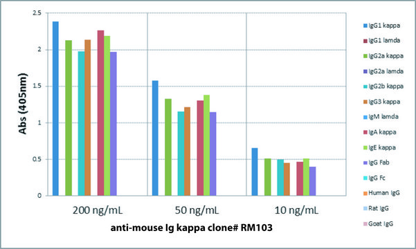 Anti-Mouse Ig Kappa Light Chain-Biotin