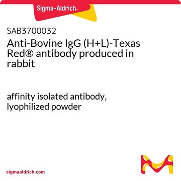 Anti-Bovine IgG (H+L)-Texas Red® antibody