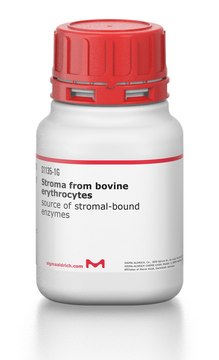 Stroma from bovine erythrocytes