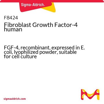 Fibroblast Growth Factor-4 human