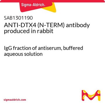 ANTI-DTX4 (N-TERM) antibody produced in