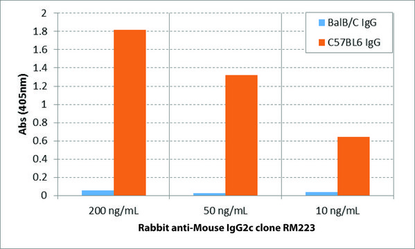 Anti-Mouse IgG2c-Biotin antibody, Rabbit monoclonal