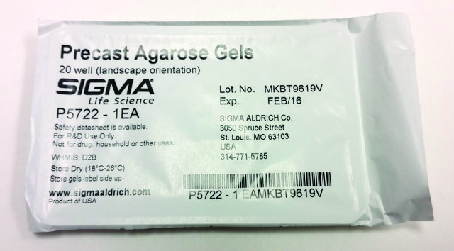 Precast Agarose Gels