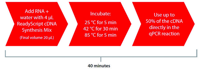 ReadyScript® cDNA Synthesis Mix