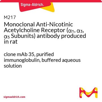Monoclonal Anti-Nicotinic Acetylcholine Receptor (??,