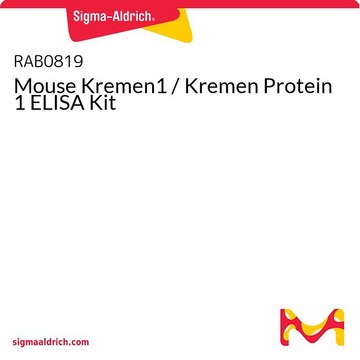 Mouse Kremen1 / Kremen Protein