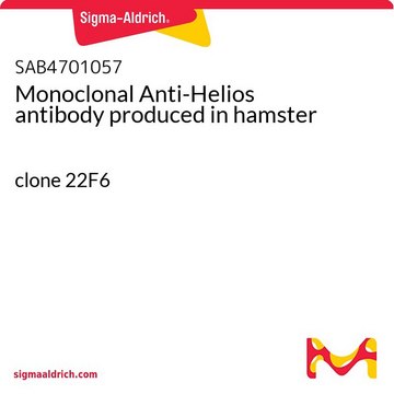 Monoclonal Anti-Helios antibody produced in