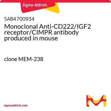 Monoclonal Anti-CD222/IGF2 receptor/CIMPR antibody produced