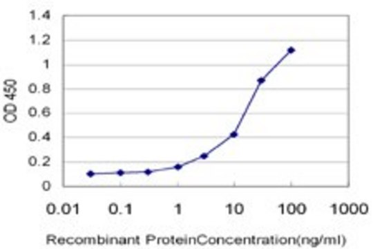 Monoclonal Anti-GALNTL4 antibody produced in