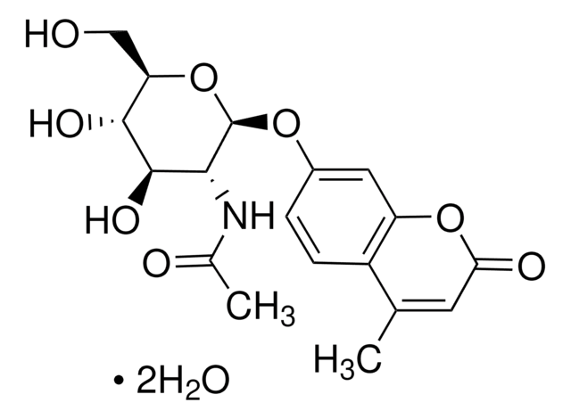 4-Methylumbelliferyl N-acetyl-?-?-glucosaminide