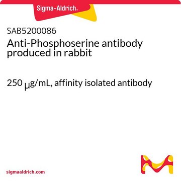 Anti-Phosphoserine antibody produced in rabbit