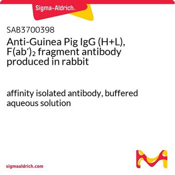Anti-Guinea Pig IgG (H+L), F(ab?)?