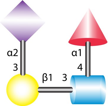 3?-Sialyl-Lewis-a tetrasaccharide