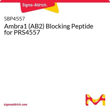 Ambra1 (AB2) Blocking Peptide for
