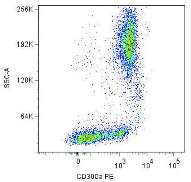 Monoclonal Anti-CD300A-PE antibody produced in