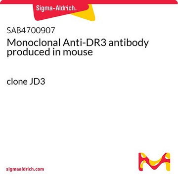 Monoclonal Anti-DR3 antibody produced in