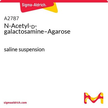 N-Acetyl-?-galactosamine–Agarose