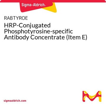 HRP-Conjugated Phosphotyrosine-specific Antibody Concentrate (Item