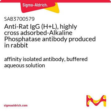Anti-Rat IgG (H+L), highly cross