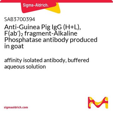 Anti-Guinea Pig IgG (H+L), F(ab?)?