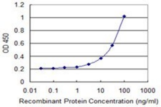 Monoclonal Anti-SLC25A21 antibody produced in