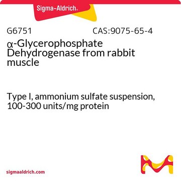 ?-Glycerophosphate Dehydrogenase from rabbit muscle