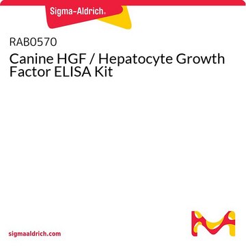 Canine HGF / Hepatocyte Growth