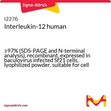 Interleukin-12 human