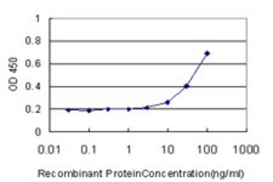 Monoclonal Anti-PMS2 antibody produced in