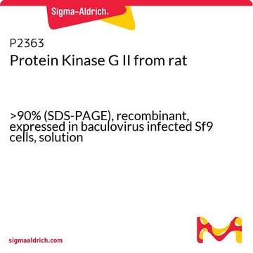 Protein Kinase G II from rat