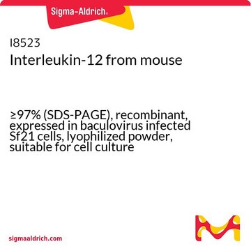 Interleukin-12 from mouse