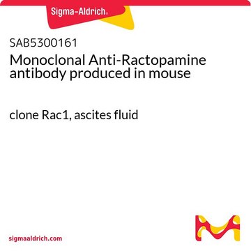 Monoclonal Anti-Ractopamine antibody produced in