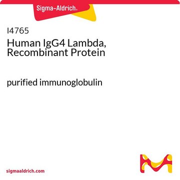 Human IgG4 Lambda, Recombinant Protein