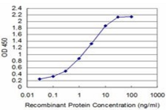 ANTI-TCL1A antibody produced in mouse
