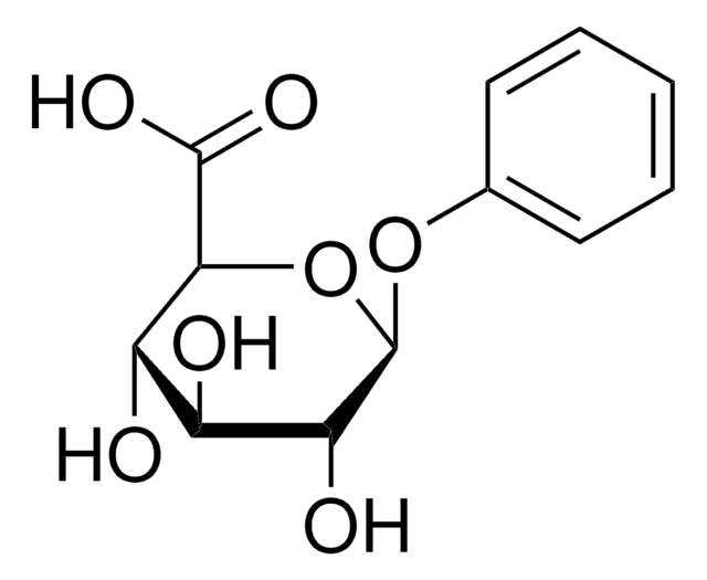 Phenyl-?-?-glucuronide